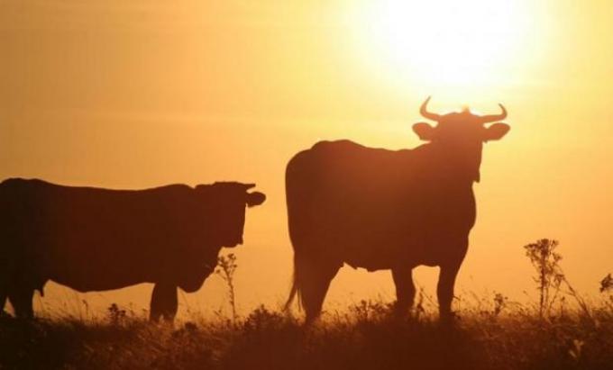 Alerta climática: el Servicio Meteorológico advierte que existe alta probabilidad de una restricción hídrica en La Pampa y oeste de Buenos Aires