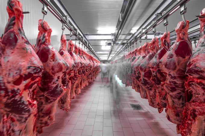 Las exportaciones de carne lograron el mayor registro mensual en 14 años