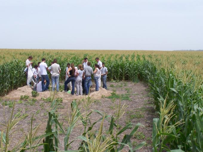 Implementan un “plan de acción” para promover el desarrollo de bioinsumos de uso agropecuario