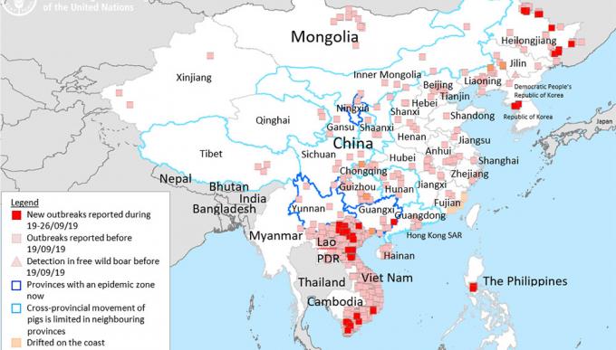 Un mapa muestra que la fiebre porcina se apodera del sudeste asiático