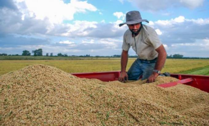 Federación Agraria pidió políticas acordes para pequeños y medianos productores