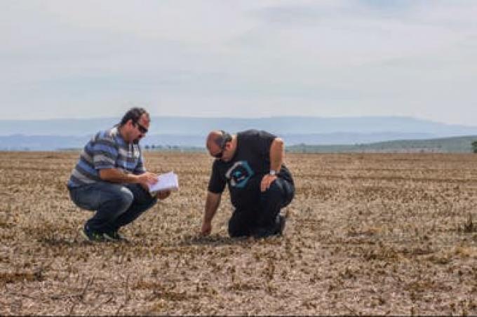 La receta para producir de los Quesada: alta tecnología con buenas prácticas agrícolas.