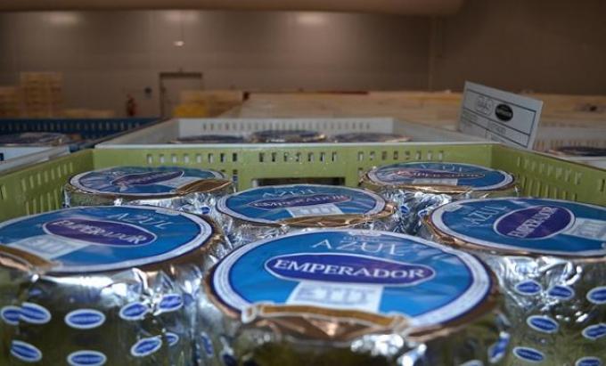 Quedó habilitada la planta de queso azul más grande de la Argentina