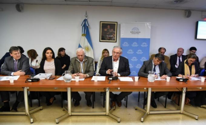Advierten sobre la falta de transparencia en la cadena avícola y la necesidad de contratos