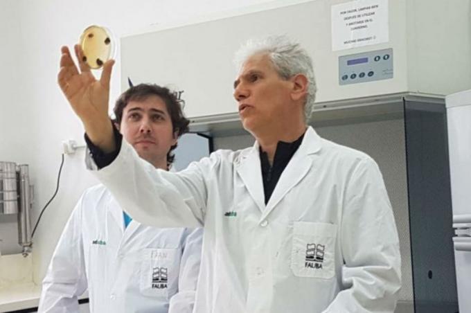 Por primera vez en el mundo. La Fauba y el INTA describen el genoma de un patógeno clave de la soja
