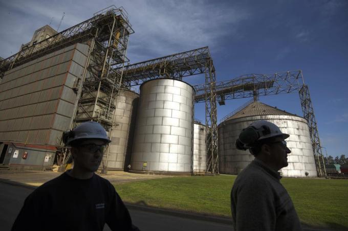 La ley que llegó para unir el talento en el conocimiento con el campo