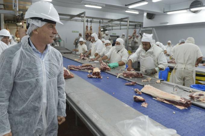 El negocio de la carne. Desde 2016 reabrieron casi una veintena de frigoríficos