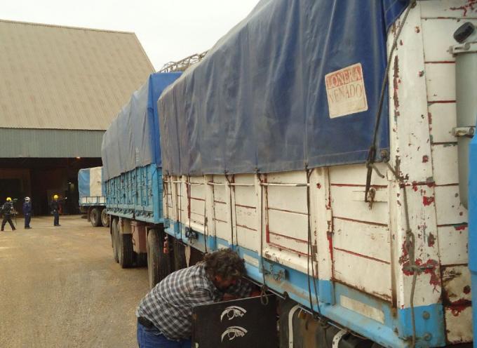 Autotransportistas se declaran en crisis por el aumento de los costos
