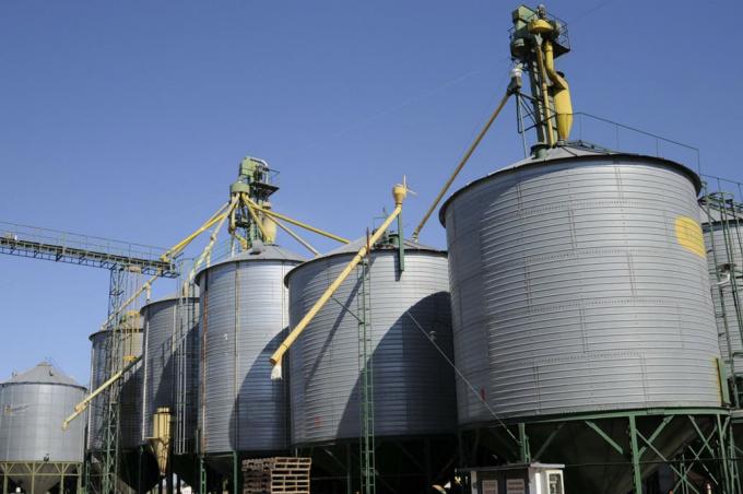 Fusión de empresas en el agro: una alternativa para eliminar el saldo técnico de IVA