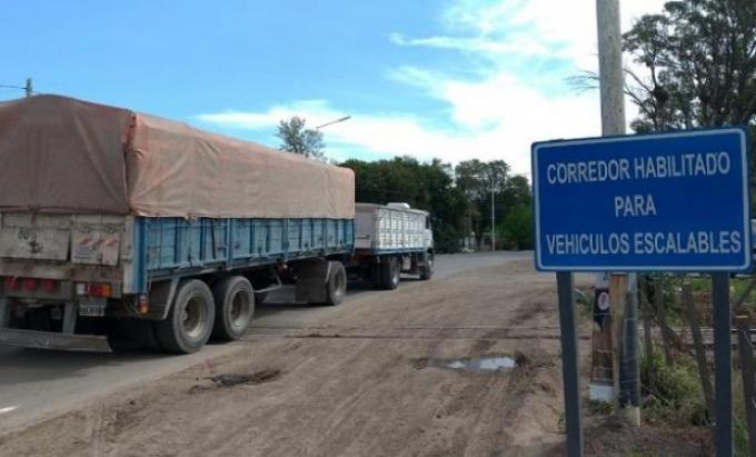 Aseguran que circulan más de 2 mil camiones escalables nacionales