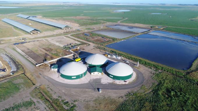 La súper devaluación promovió importantes pérdidas en los balances de Mastellone Hnos y la unidad láctea de Adecoagro