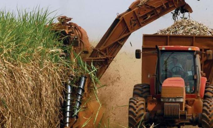 Biocombustibles: aumentan un 14% el biodiésel e igualan el valor del bioetanol de caña y maíz