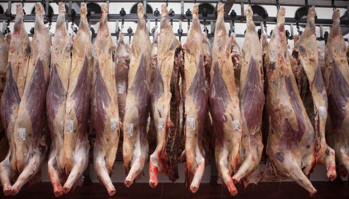 Sorpresa sanitaria: planean recusar la restricción rusa al ingreso de carne argentina