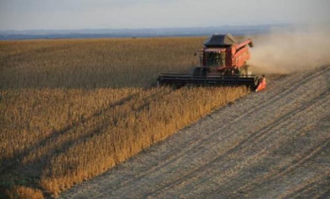Informe del Usda con pocas novedades
