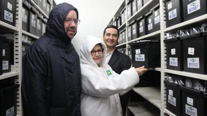 La edición génica será una de las prioridades de Embrapa en 2020: “Esta tecnología reemplazará a los transgénicos”