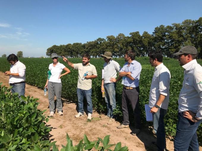 En 2019 la cantidad de nuevos cultivares de soja registrados fue la segunda más baja de la última década