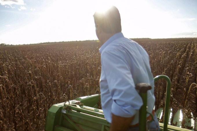 Productores de girasol: las otras víctimas del default de Vicentín