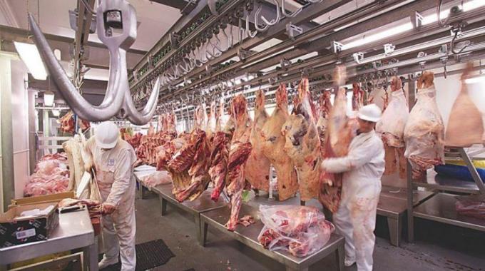 Faena argentina: sigue mostrando suaves signos de aumento