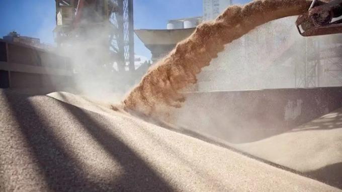 En 2019 subió casi 5% la exportación de harina de trigo y aportó US$300 millones