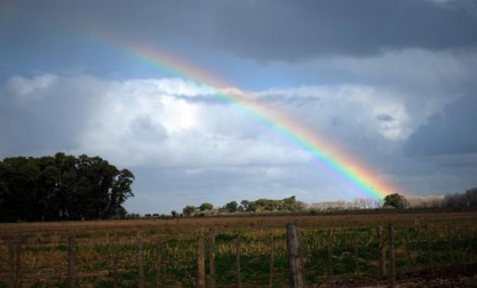 Las lluvias serían ideales para la cosecha de la gruesa y la siembra fina