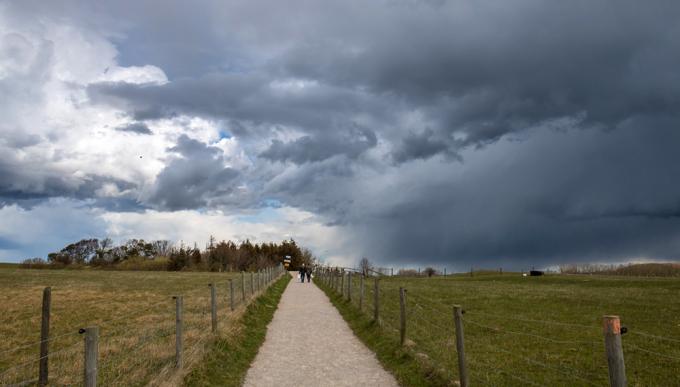 El clima trae una gran noticia para los cultivos: se afianza un escenario de alta productividad