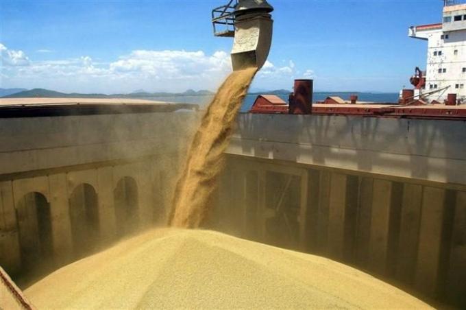 Las divisas aportadas por el agro son las que siguen “pagando la cuenta” de la economía argentina: más de 26.000 millones de dólares en 2019
