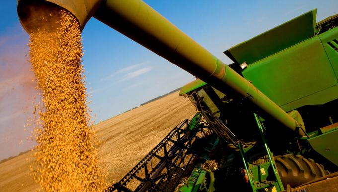 Además de la producción, los agronegocios también esperan otro récord