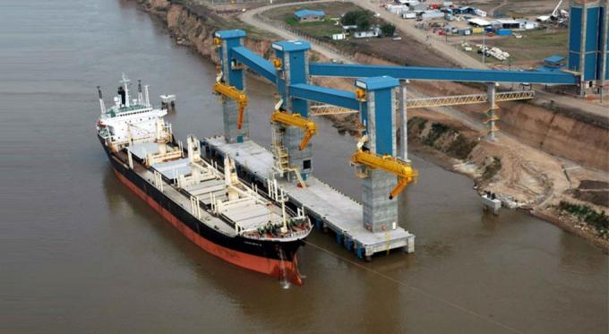 ¿Cuáles fueron los productos del agro que más crecieron en exportaciones en 2019?