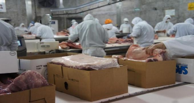 Exportación: este año llega la revancha del novillo pesado luego de que se pinchara el auge de precios de la vaca gorda