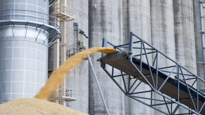 La Industria Molinera desmintió haberle pedido al gobierno el cierre de las exportaciones de trigo