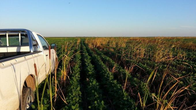 Perjudicar la capacidad de compra del agro golpea a la industria: la venta de camionetas sigue en terapia intensiva