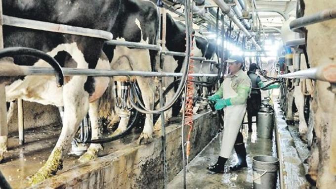 6 de cada 10 tambos podrían crecer en los próximos cinco años
