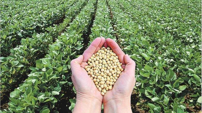 La Alianza Internacional de Productores de la Soja (ISGA) se reunió en Brasilia para tratar temas relevantes y comunes a los países productores.