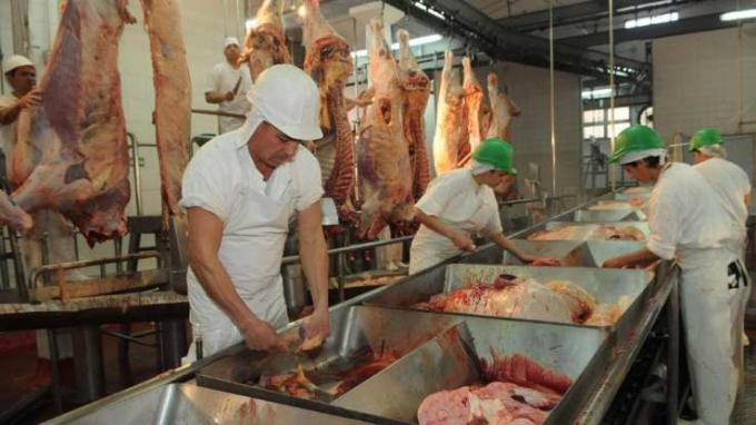 En enero cayó la faena de ganado vacuno