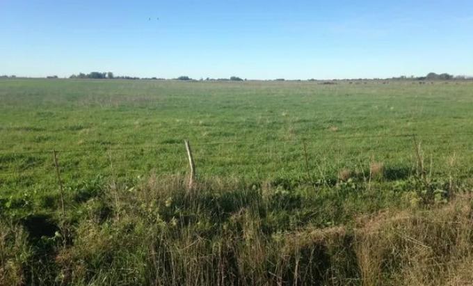 Ingresó una masa de aire frío: mirá los registros más bajos del sur bonaerense