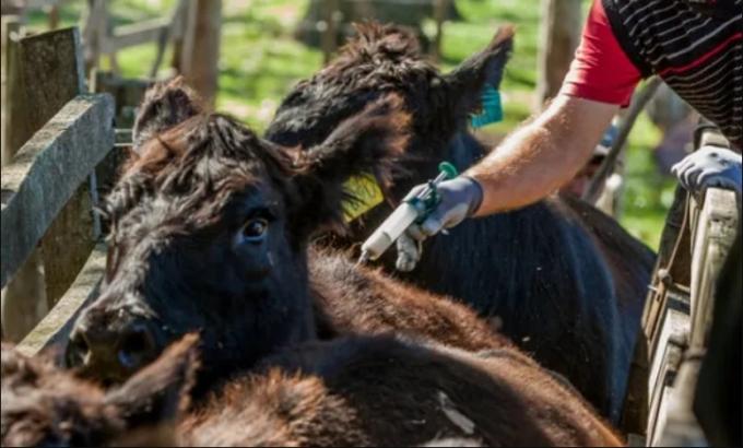 Santa Fe delineó estrategias sobre la sanidad y el bienestar animal