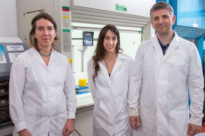 Soja: apoyo del INTI para el avance de una tecnología de bioprotección