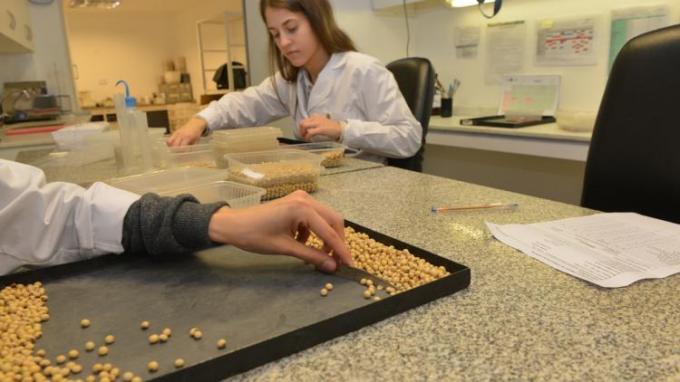Extendieron el sistema Bolsatech para la campaña de soja 2019/20: qué implica para los productores