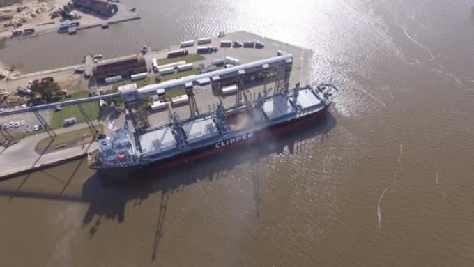 Insólito: hace una semana que el principal exportador mundial de harina de soja no puede declarar operaciones de comercio exterior