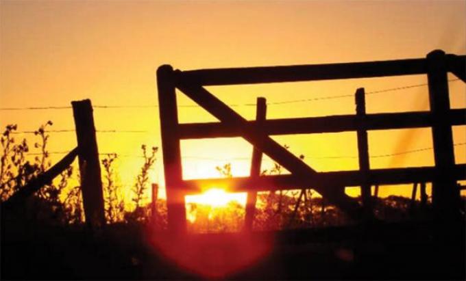 El peor momento para aumentar derechos de exportación: la mitad de la superficie de soja argentina está en problemas por falta de agua
