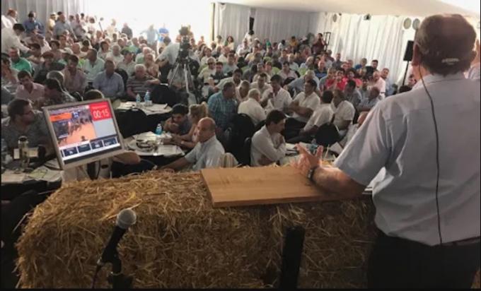 Rosgan llega esta semana a los 3 millones de cabezas ofertadas: habrá premios para vendedor y comprador