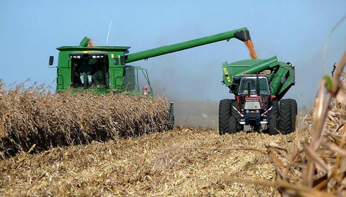 La cosecha de maíz temprano avanza a ritmo constante en el centro norte de Santa Fe