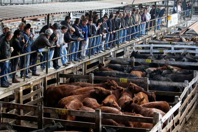 Coronavirus. Prohíben los remates en el Mercado de Liniers y siguen las ventas al oído