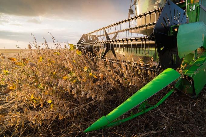 Coronavirus. Cómo trabajar en el campo en plena cosecha