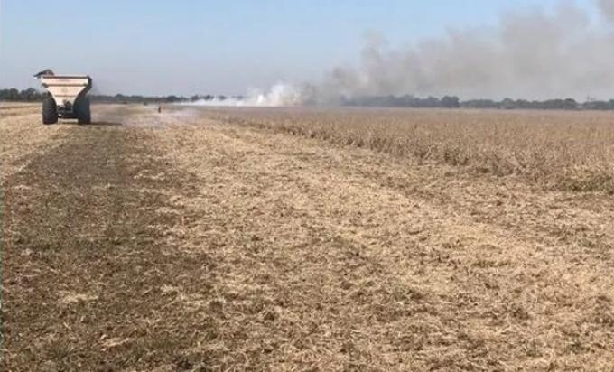 "Parece una película de terror": productores denuncian incendios intencionales en la cosecha