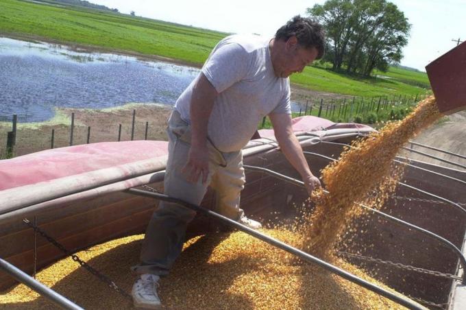 Recortan nuevamente la estimación de producción nacional de soja