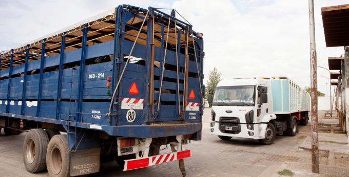 Se facilitan las gestiones para el transporte de animales vivos