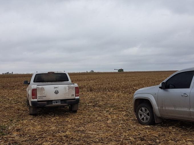 Santa Fe: se interrumpió por falta de pago un estudio orientado a validar el uso de biodiesel puro en camionetas