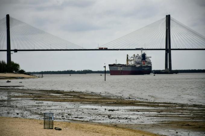 La bajante histórica del río Paraná distorsionó el sistema de formación de precios de la soja argentina