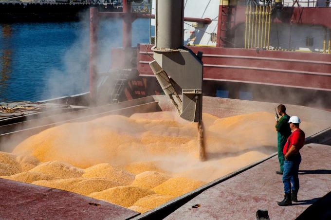 En 2019 el agro generó 6 de cada 10 dólares que ingresaron al país